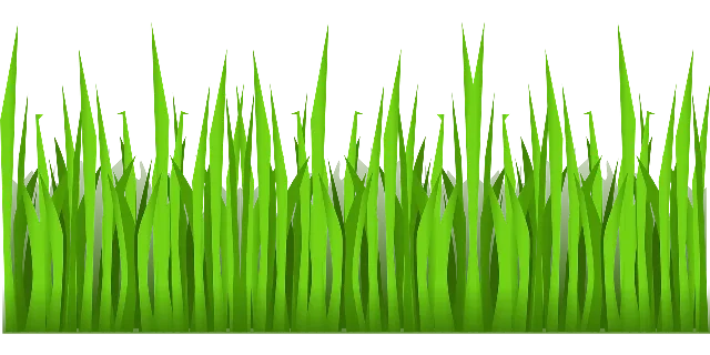 Why the grass is green