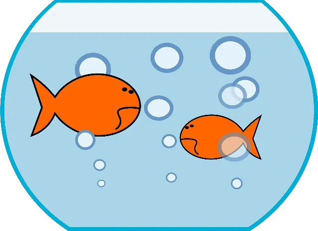 Do fish ever get thirsty?