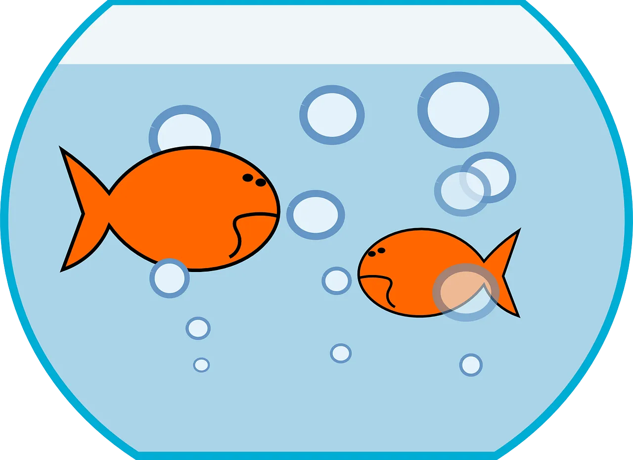 Do fish ever get thirsty?